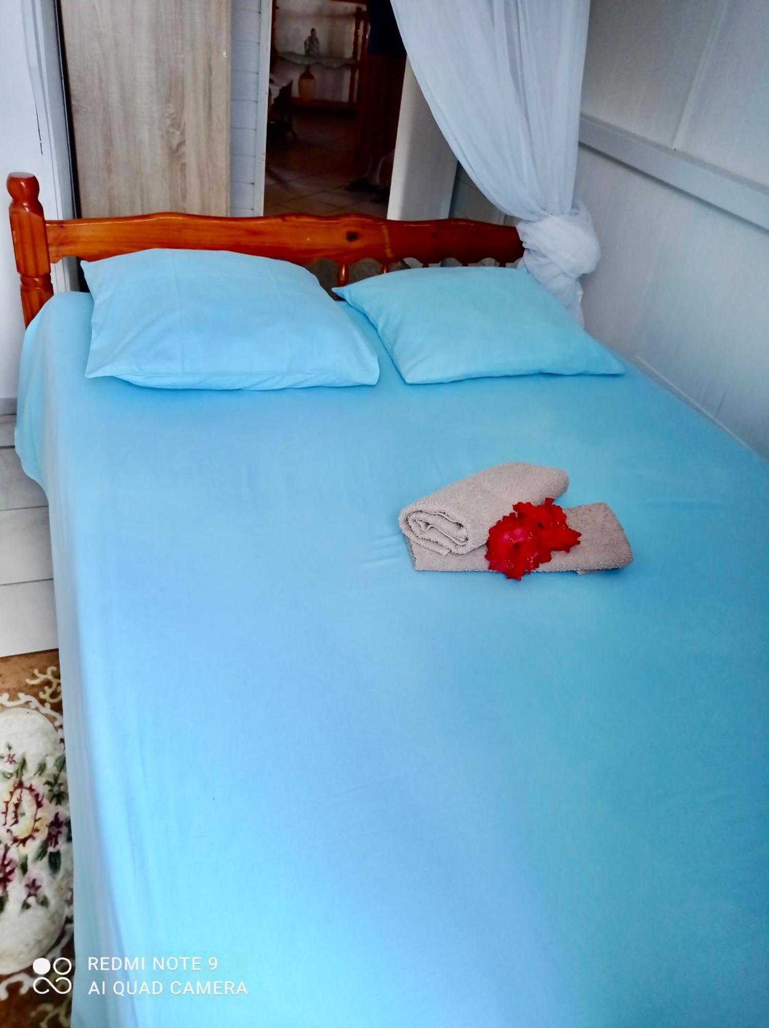 Chez Ninette Pres Des Sources Chaudes Villa Bouillante Dış mekan fotoğraf